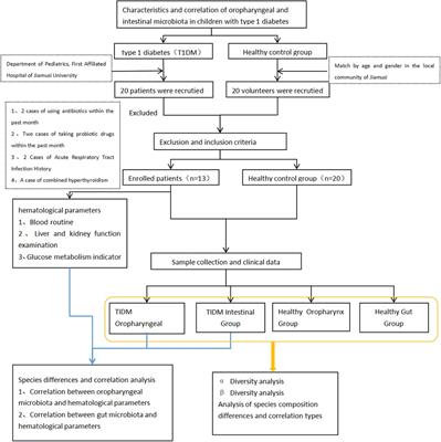 A pilot study on the characterization and correlation of oropharyngeal and intestinal microbiota in children with type 1 diabetes mellitus